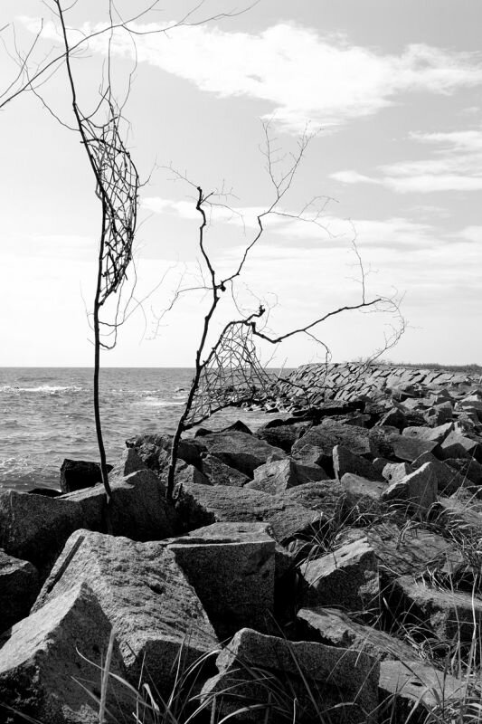 Kunst am Strand, Windfänger