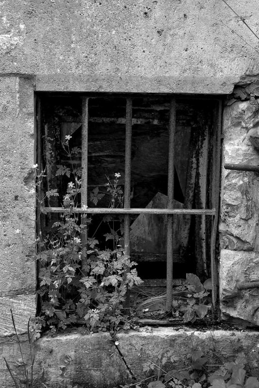 ein kleines vergittertes Fenster