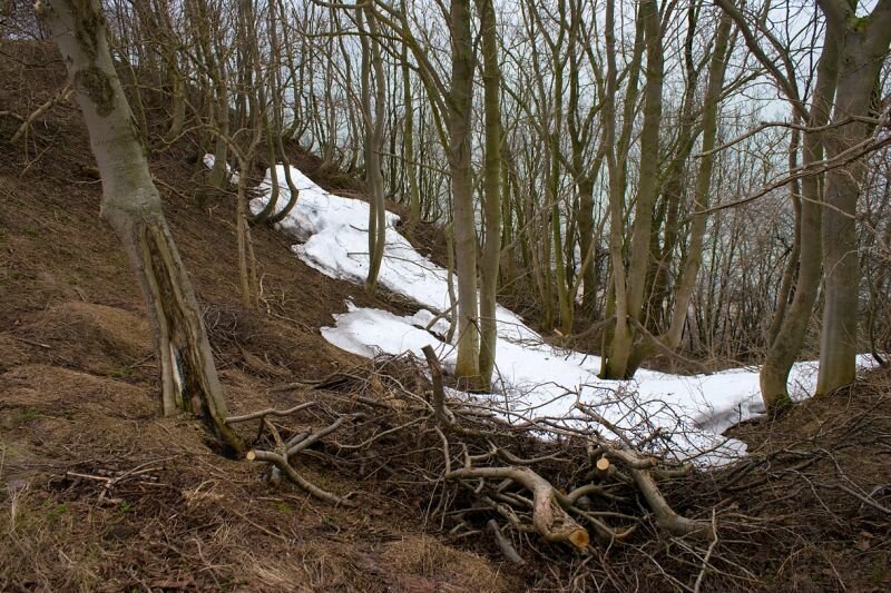 Restschnee an der Steilküste von Rügen