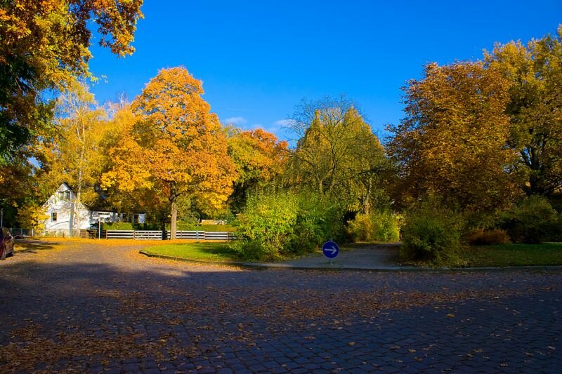 eine Straßenkreuzung im Herbst