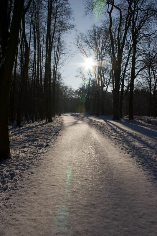 winterlicher Weg