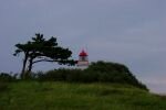 053-Leuchtturm-und-Baum.jpg