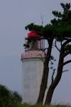 102-Baum-vor-dem-Leuchtturm.jpg