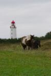 114-Leuchtturm-und-Pferde.jpg