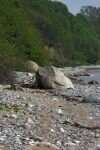 061-Die-Felsen-sind-von-der-Steilkueste-auf-den-Strand-gestuerzt.jpg