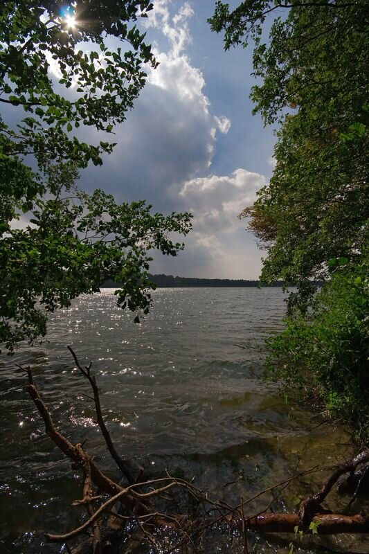 am Langen See