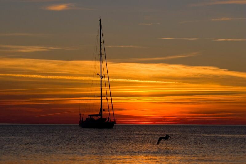 Möwe und Segelboot beim Sonnenuntergang