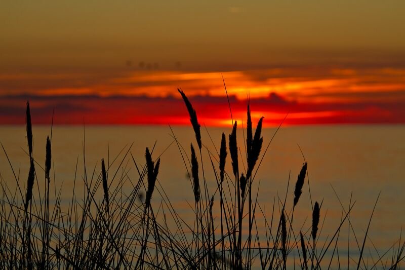 ein Sonnenuntergang mit Strandhafer