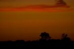 080-Sonnenuntergang-mit-Baum-im-Vordergrund.jpg