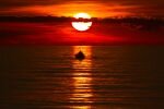 147-sonnenuntergang-fischerboote.jpg