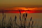 ein Sonnenuntergang mit Strandhafer