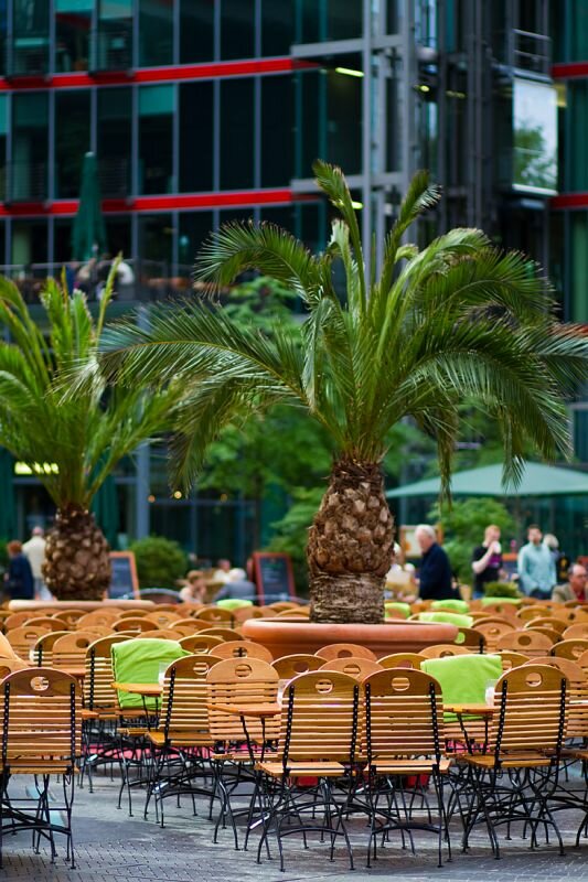 Palmen in einem Cafe