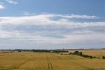 005-ein-Feld-im-Sommer.jpg