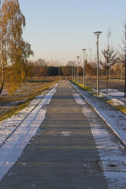 ein Weg im Park