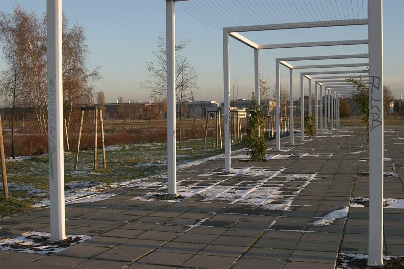 Pflanzenspalier auf der Freifläche des Parks