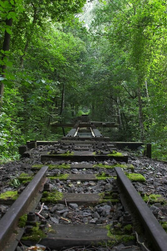 alte Strecke in der Wuhlheide der Parkeisenbahn